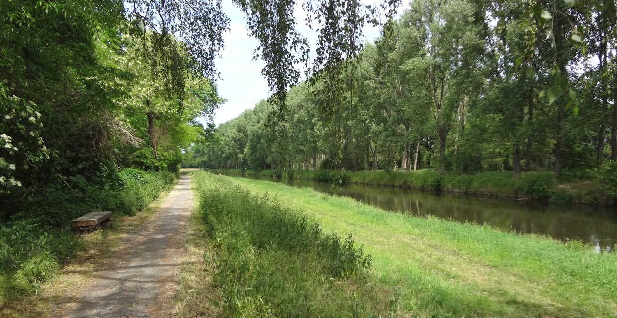 Bode bei Athensleben