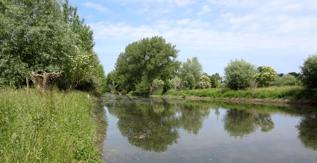 Bode zwischen Unseburg und Rothenförder Wehr Bode zwischen Unseburg und Rothenförder Wehr