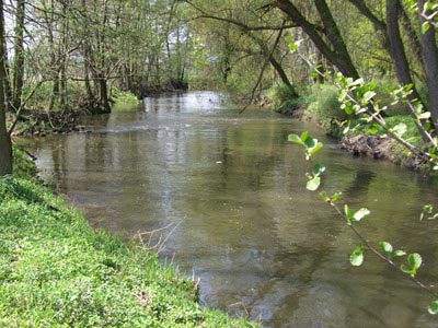 Bode bei Rodersdorf Bode bei Rodersdorf