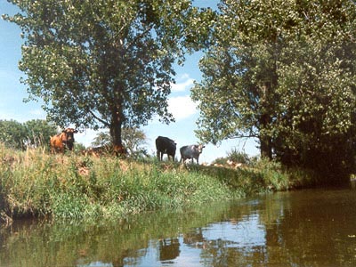 Bodepaddeltour Bodepaddeltour