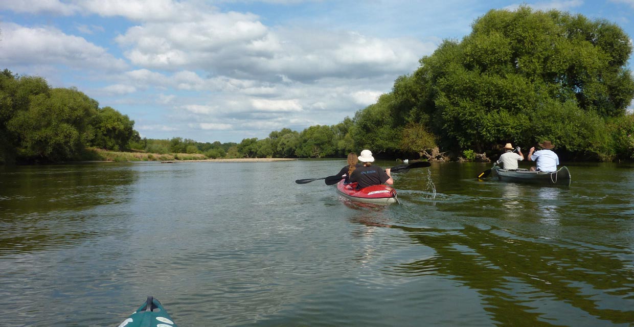 Paddler auf der Mulde