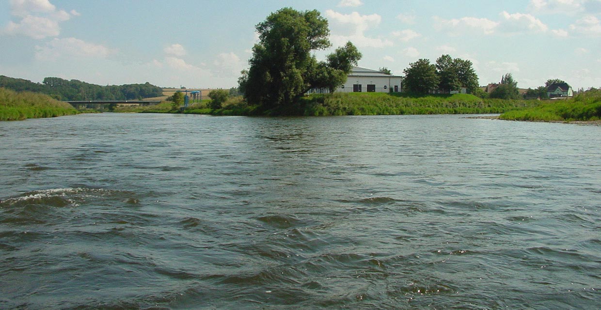 Zusammenfluss Zwickauer und Freiberger Mulde
