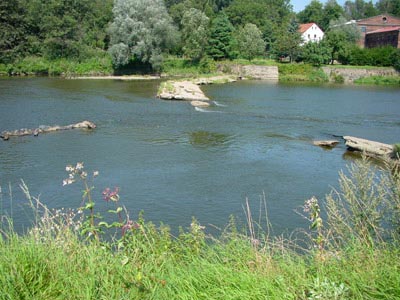 Mulde Wehr Neumühle