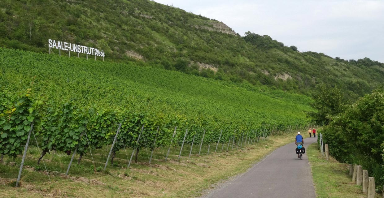Weinstraße Saale-Unstrut