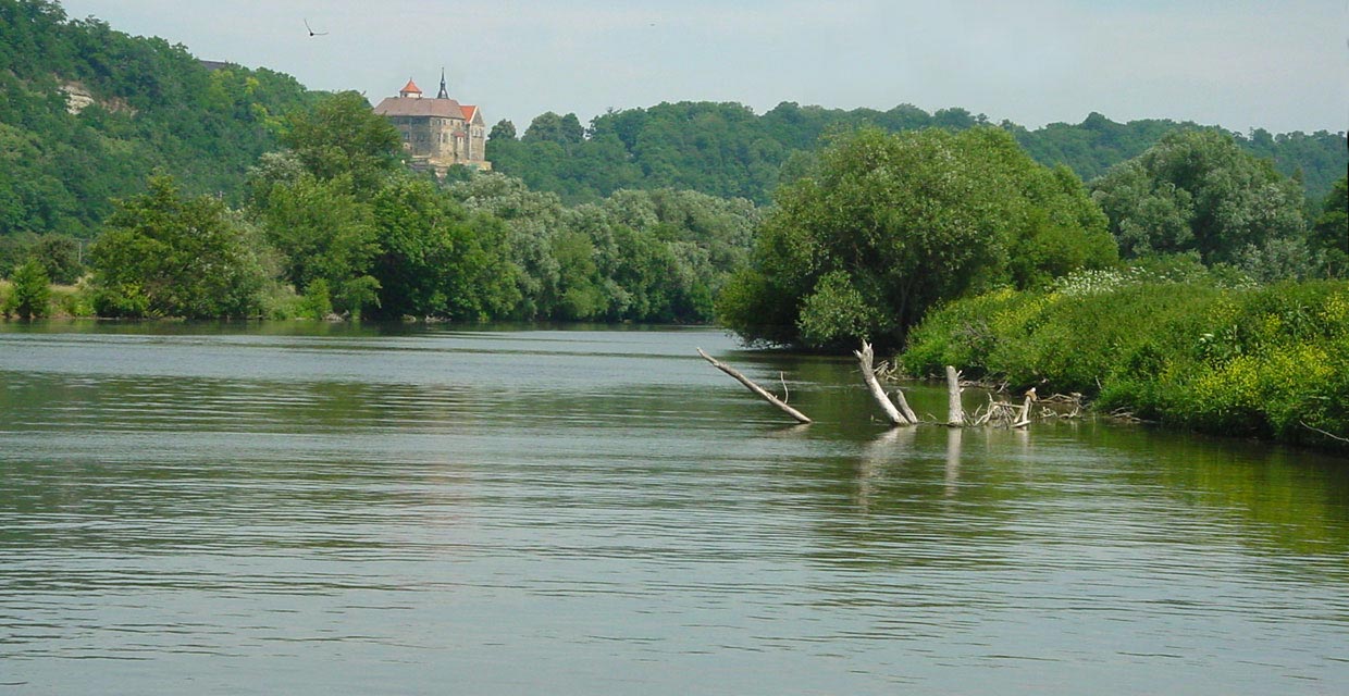 Saale mit Schloss Goseck