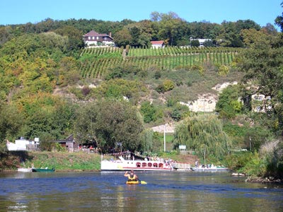 Saale kurz vor der Unstrutm&uuml;ndung im Bl&uuml;tengrund