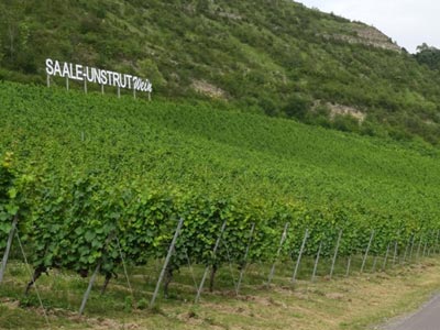 Weinstraße Saale-Unstrut Weinstraße Saale-Unstrut
