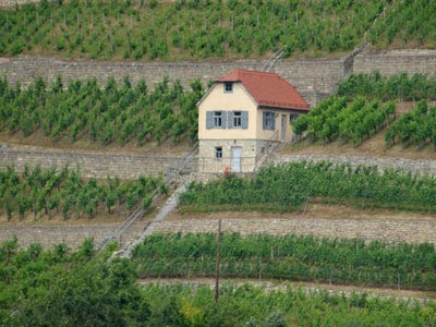 Weinstra&szlig;e Saale-Unstrut