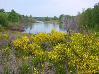 Goitzsche Landschaft