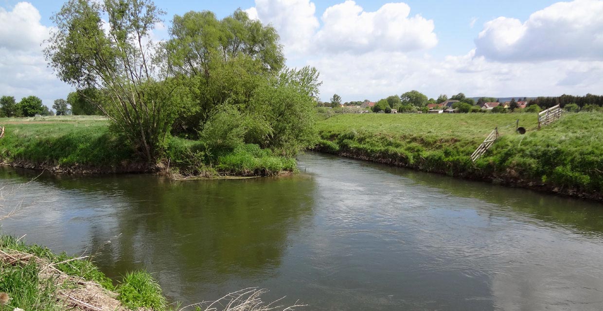 Helme Unstrut M�ndung