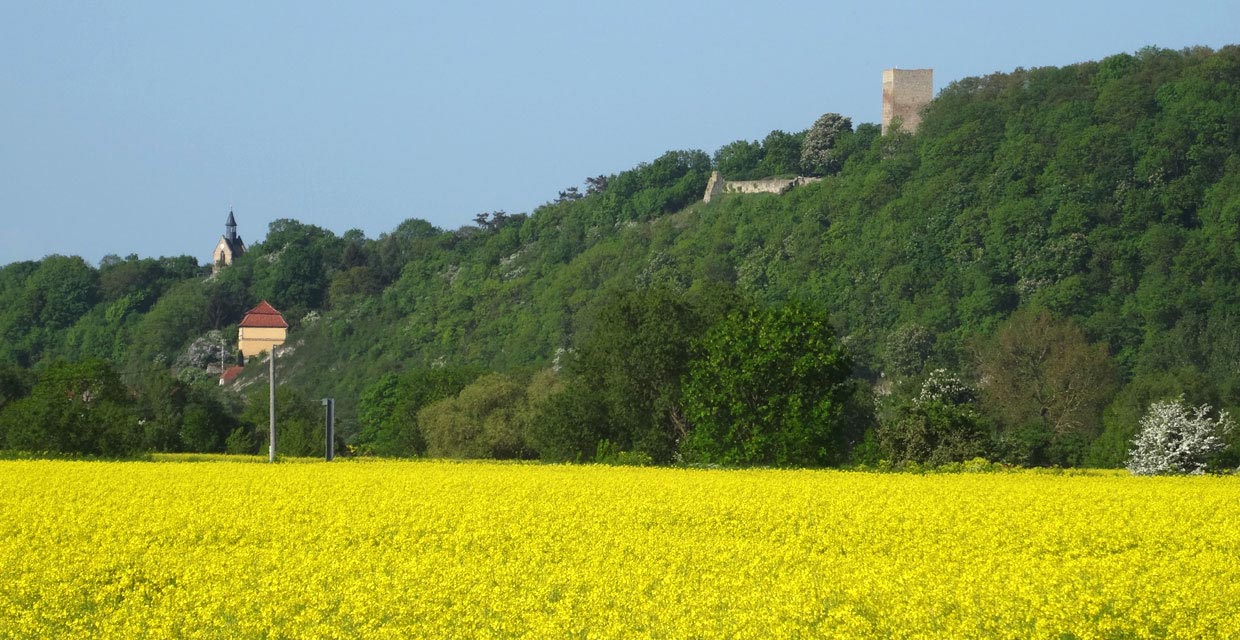 Blick nach Sachsenburg