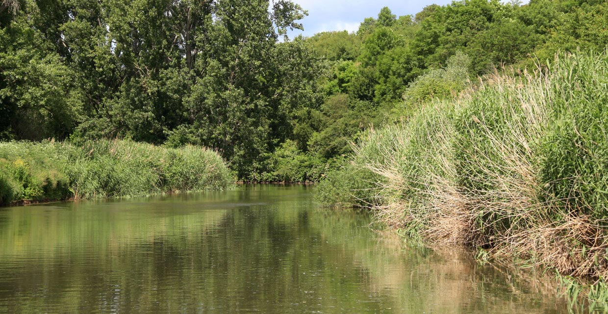 Unstrut zwischen Kirchscheidungen und Laucha
