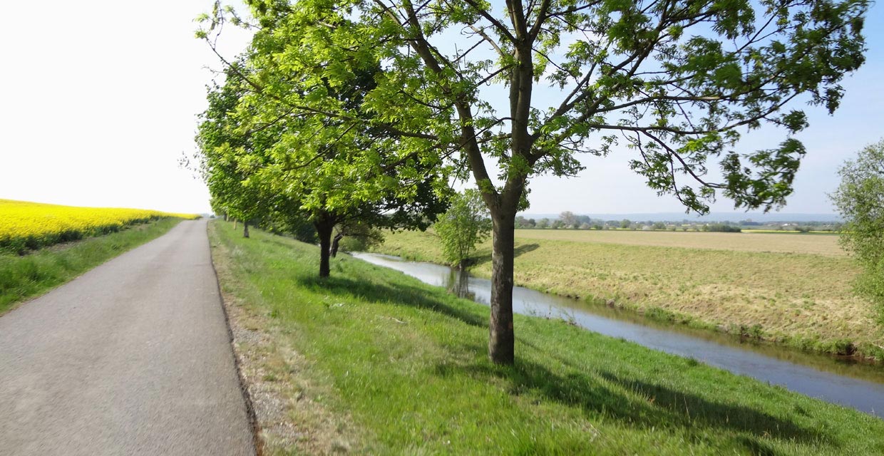 Unstrut und Radweg hinter Bollstedt