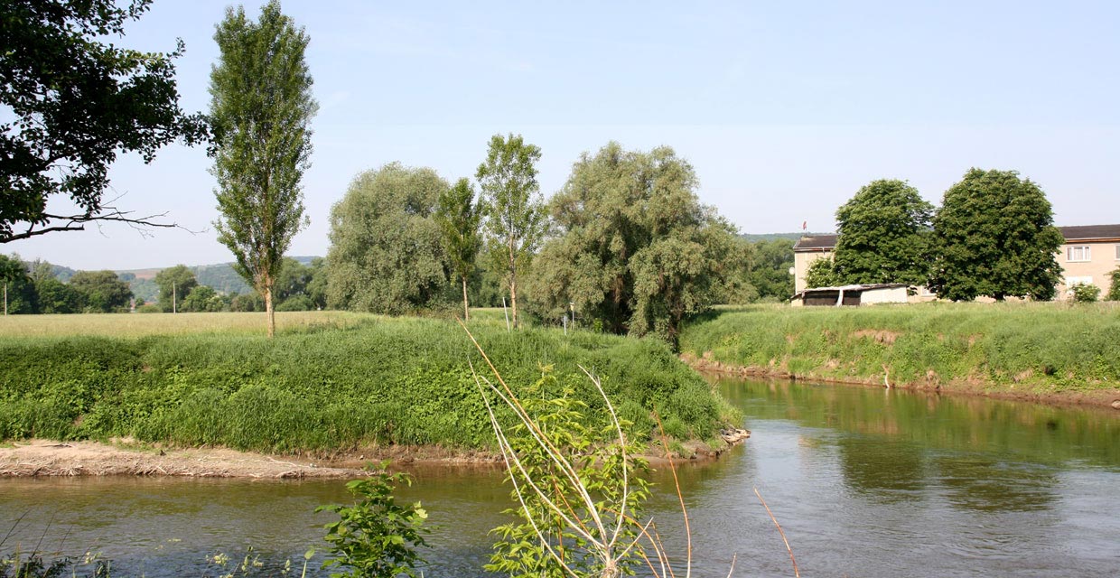 Unstrut-Saale-Mündung bei Naumburg