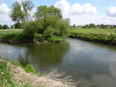 M&uuml;ndung der Helme bei Kalbsrieth
