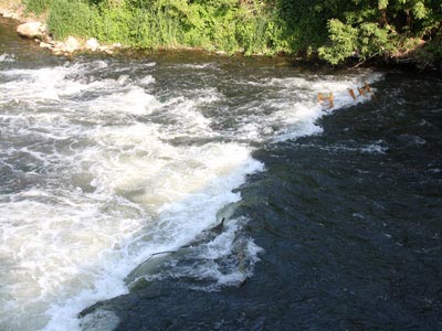 Kante mit Spundwand unter der Unstrutbrücke