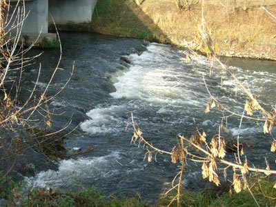 Kante mit Spundwand unter der Unstrutbrücke